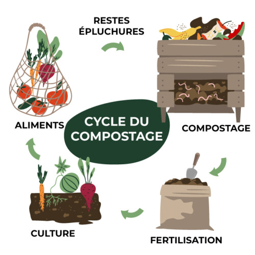 Cycle du compostage - Composteur Ultra-écoresponsable !